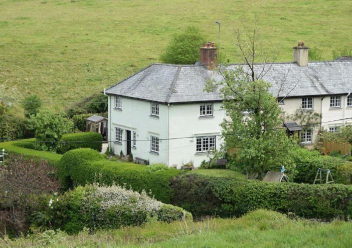 Cedra Cottage - Vintage Country Hideaway Axminster Eksteriør bilde