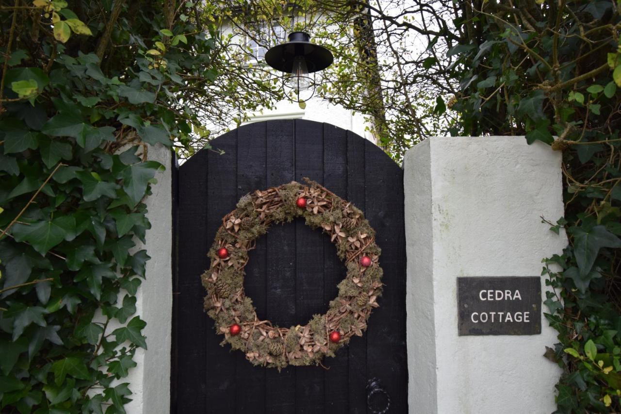 Cedra Cottage - Vintage Country Hideaway Axminster Eksteriør bilde