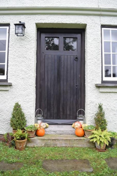 Cedra Cottage - Vintage Country Hideaway Axminster Eksteriør bilde